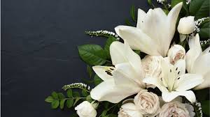 Rylie Mcgill, Car Accident, Charlotte, NC Death, Obituary - Has Died